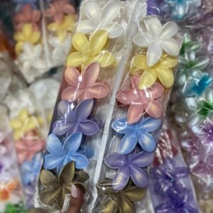 Docena de broches hawainos