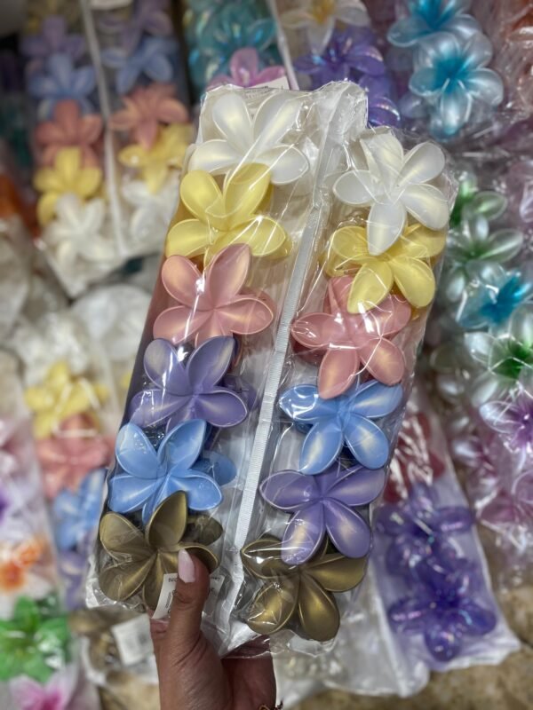 Docena de broches hawainos