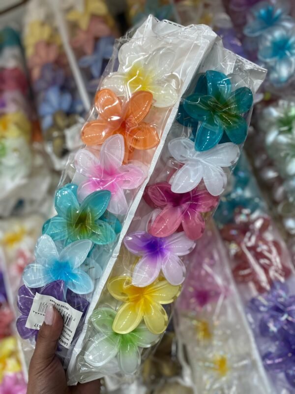 Docena de broches hawainos